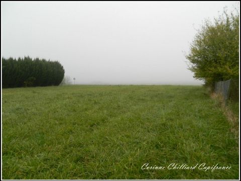 photo no. 1