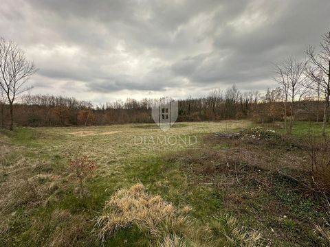 Location: Istarska županija, Žminj, Žminj. Istria, Žminj, Terreno Edificabile con Progetto e Permesso per la Casa dei Tuoi Sogni In una posizione tranquilla a nord-est di Žminj, immerso in un incantevole contesto naturale, è in vendita un terreno edi...