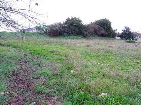 Situé dans l'agglomération de Mugron terrain à bâtir de 1 918 m². Proche du centre bourg du village, commerces et écoles à pied. Certificat d'Urbanisme ok, terrain non viabilisé. Réseaux eau potable, EDF et tout-à-l'égout à proximité. Dax: 27 km, Mon...