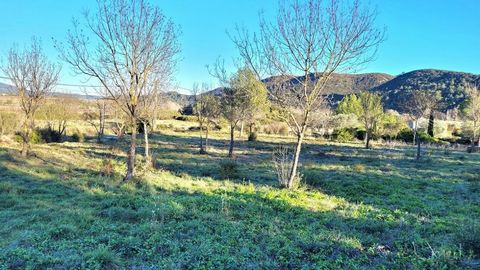 Pretty wine-growing village (no shop), 25 minutes from Beziers, 5 minutes from Saint Chinian and Cessenon sur Orb and 5 minutes from the beaches of the river Orb. Very nice and flat plot of 2048 m2, with mains water and electricity. Independent drain...