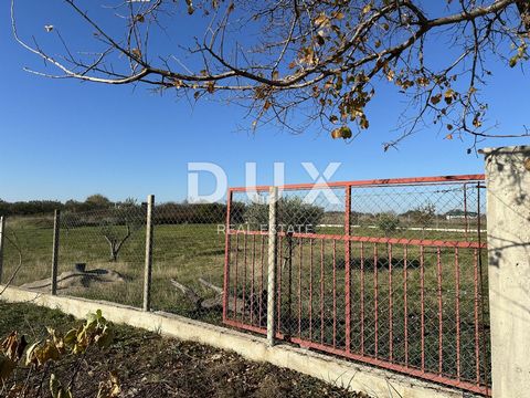 Location: Zadarska županija, Zadar, Crno. Agricultural land in the settlement Crno - a perfect investment near Zadar In the village of Crno, which is located in the immediate vicinity of Zadar, there is an attractive agricultural land ideal for inves...