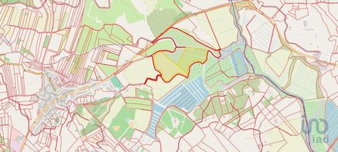 Excelente oportunidade de adquirir terreno com 11 hectares plano, dividido em dois terrenos, com fácil acesso, a dois minutos de Odiáxere. #ref: 132137