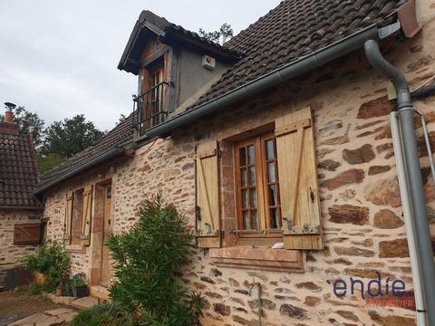 FARMHOUSE In VESDUN (18360), ready to move into, let yourself be charmed by this 140 m² 7-room country house. This south facing country plot benefits from unobstructed views. It is an old renovated house, not visible and without neighbors. It is divi...