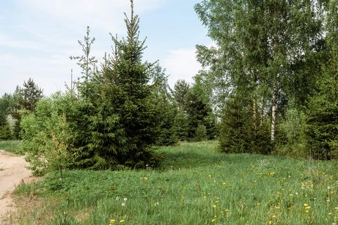 Земельный участок Садовая аллея, 15 площадью 16 соток в дачном поселке Стремление. Удобная транспортная доступность: Краснофлотское шоссе, 75 км от КАД. Коммуникации: электричество по границе участка (10 кВт, 3 фазы, двухтарифный учет). В 30 метрах о...