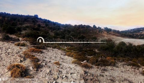 Een uitzonderlijk Kretenzisch landschap: een zeldzame investeringsmogelijkheid in Zuid-Rethymnon Ontdek een perceel van 7,2 hectare dat de ware essentie van de Kretenzische natuurlijke schoonheid belichaamt. Dit opmerkelijke pand ligt op een glooiend...