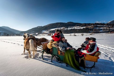 Welkom bij uw ideale alpine toevluchtsoord op vakantiepark Kreischberg! Deze ruime studio van 55 m² is geschikt voor maximaal 5 personen en combineert gezellig comfort met praktisch design. De studio beschikt over een ruime slaapkamer op de bovengale...