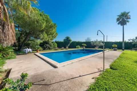 Esta típica casa mallorquina de dos plantas ofrece una piscina privada de cloro de 12 x 6 metros que tiene una profundidad que oscila entre los 0,75 y los 2,15 metros. La zona de césped que rodea la piscina es perfecta para extender la toalla y tomar...