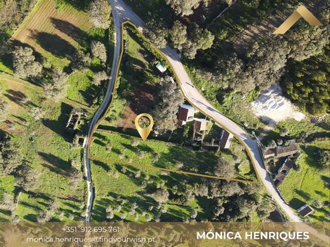 Bienvenido a una villa rústica en una ubicación idílica en Alcobaça. Esta encantadora casa de campo, con dos dormitorios y un baño individual, ofrece una superficie total de 322 m², incluyendo una villa de 3 dormitorios en proyecto, en una vasta prop...