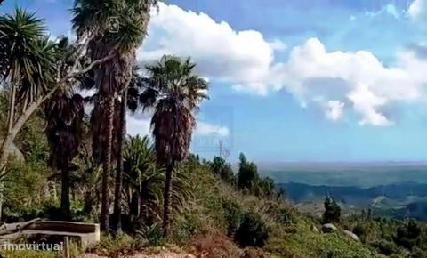 Excelente oportunidade de investimento em Portugal! Este terreno de misto com 9,7 hectares, localizado na Serra da Picota, oferece vistas panorâmicas deslumbrantes da serra até ao mar. Com uma casa para recuperar com 110 m², este terreno em socalcos ...