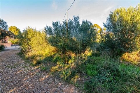 Plot of 1012m2 approx. in Betlem area. This plot has an area of approx. 1,012m2 without project. The plot is surrounded by mountains and sea, close to the Llevant Park and with unobstructed views. Electricity and water services at the foot of the plo...