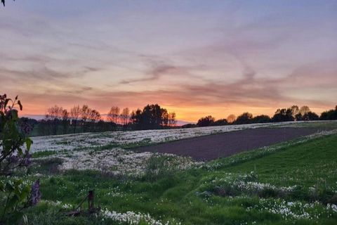 Boendet ligger i de natursköna omgivningarna i Hindsgavls naturreservat och erbjuder en fridfull tillflyktsort med direkt tillgång till både vatten och skog. Gästerna kan välja mellan en rad semesterhus med varierande kapacitet: från lägenheter för 2...