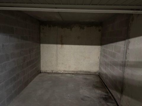 photo no. 7
