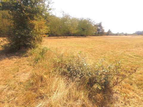 TERRAIN DE 3682 m&#178; dont 2168 m&#178; constructible CU , Bornage , ERP , G1 ok Assainissement individuel &#224; pr&#233;voir libre constructeur