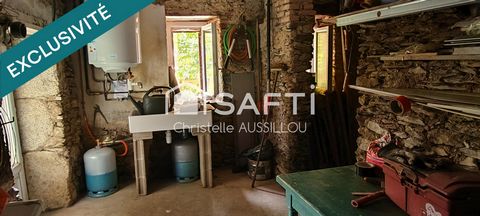 photo no. 9