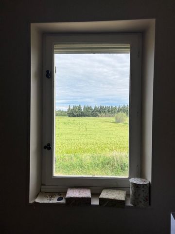 photo no. 16