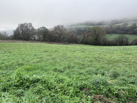 photo no. 8