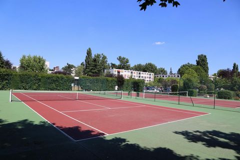 photo no. 4