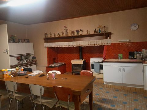 photo no. 7