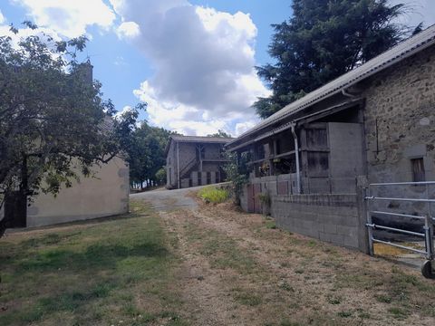 photo no. 13