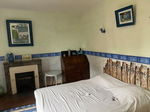 photo no. 11