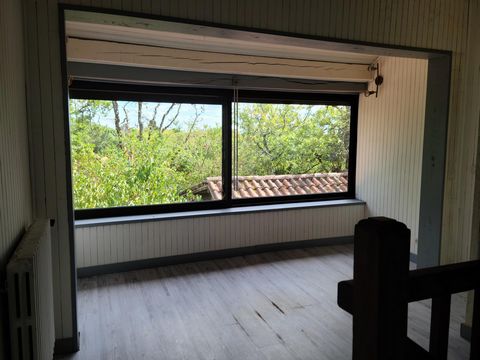 photo no. 9