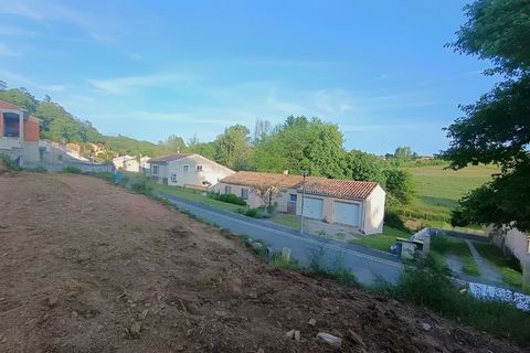 photo no. 3