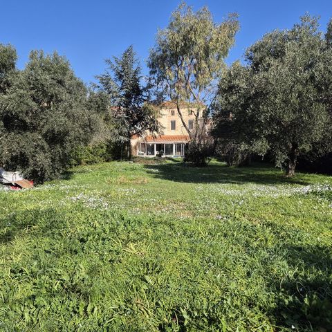 Maison de Maître du 19ème siècle dans un charmant Village Catalan à SAINT JEAN LASSEILLE