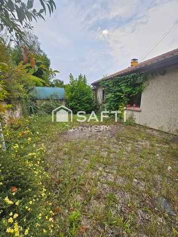 photo no. 14