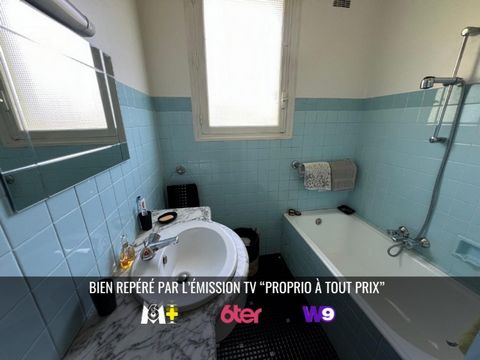 photo no. 8