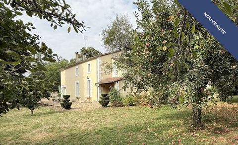 photo no. 14
