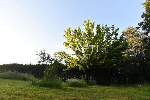 photo no. 13