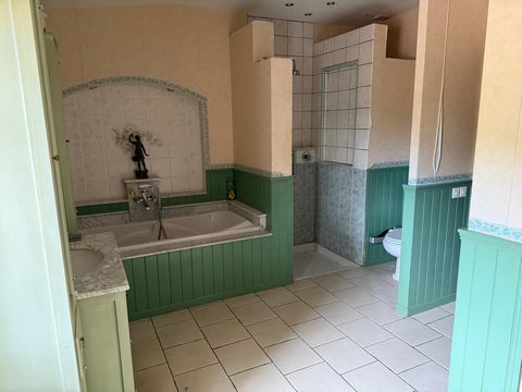 photo no. 8