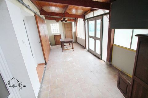 photo no. 10
