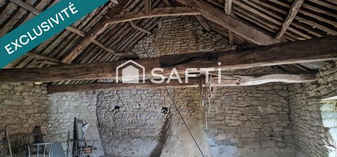 photo no. 12