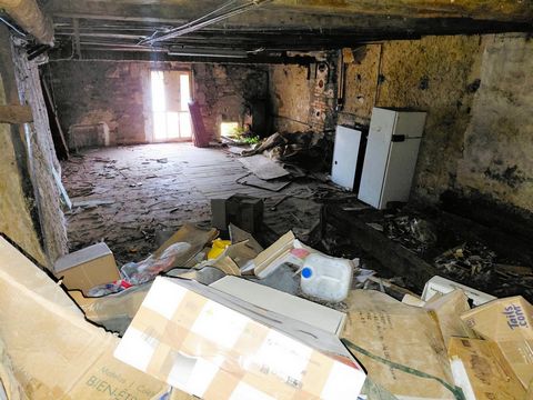 photo no. 14