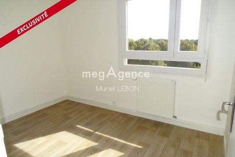 photo no. 5