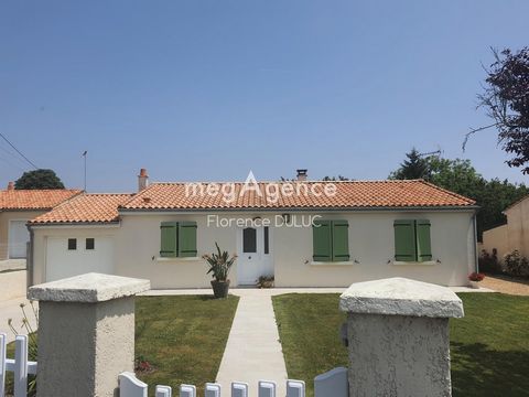 photo no. 1
