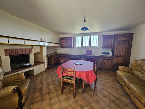 photo no. 5