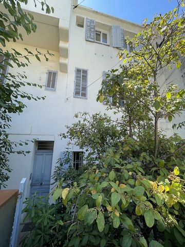 photo no. 7
