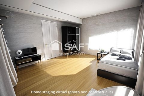 photo no. 11