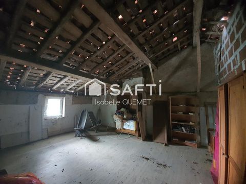 photo no. 11