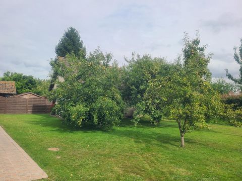 photo no. 11