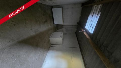 photo no. 13