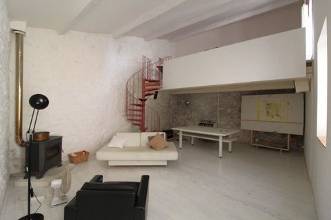 photo no. 8