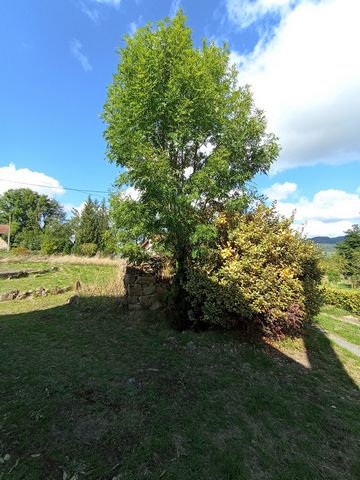photo no. 7