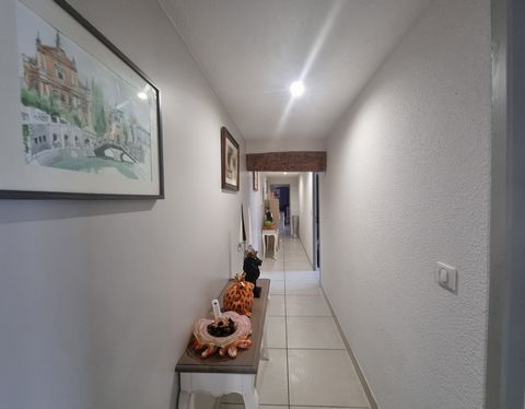 photo no. 13