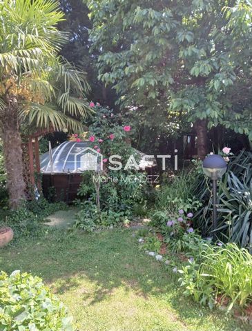 photo no. 13