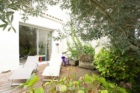 photo no. 12