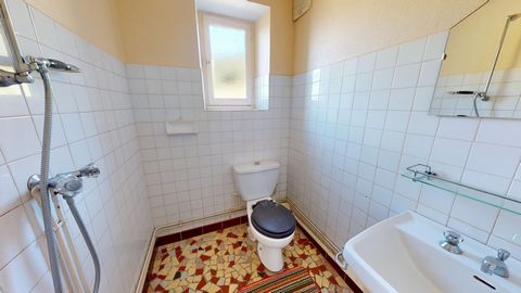 photo no. 11