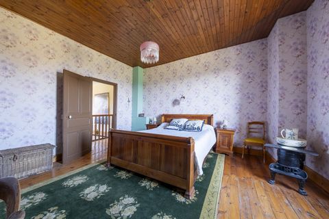 photo no. 12